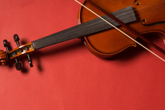 Violin