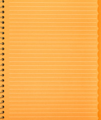 the orange piece of paper from the notebook with spring