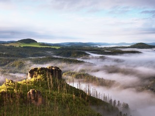 Spring misty landscape. Morning in beautiful hills of natural park.
