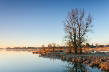 After sunrise over a wild pond with lonely trees next to a village