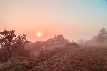 Foggy autumn evening in Val Rosandra