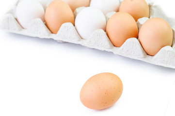 Egg collection isolated on white background