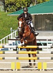 Equestrian girl horseback jumping obstacle 