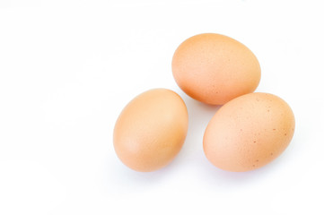eggs on a white background