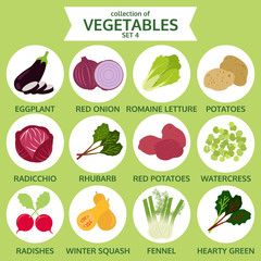 collection of vegetables, food vector illustration, icon sticker