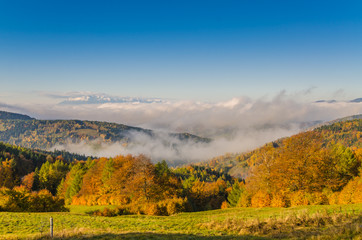 Jesień w Beskidzie Sądeckim,bacówka nad Wierchomlą