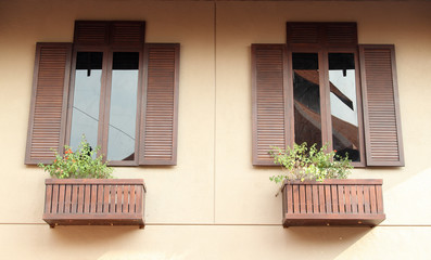 Two wooden windows with flowers on orange concrete wall.