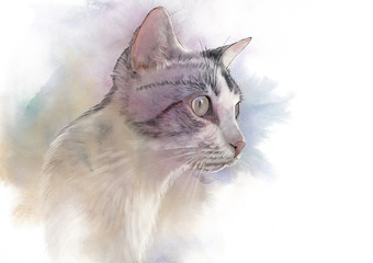 Cute cat. Watercolor portrait of a cat. Drawing of a cat with yellow eyes executed in watercolor. Good for print T-shirt. Hand painted watercolor cat illustration. Art background, banner for pet shop.