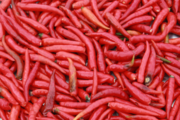 Red chili peppers