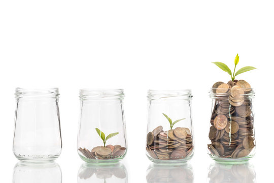 coins and plant in bottle, Business investment growth and saving