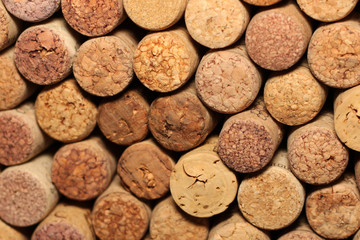Wall of many different wine corks. Closeup of wine corks. Close up of cork wine. Wine corks with traces of wine and corkscrew.
