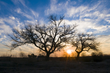 Pampas Landscape, La Pampa, Argentina