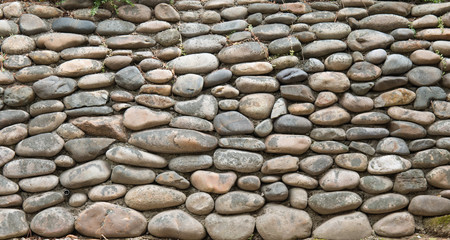 돌담 (stone wall)