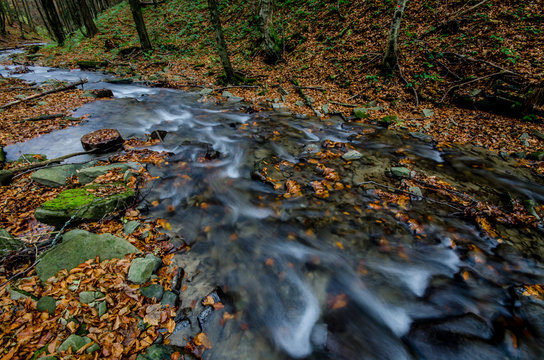 Fototapeta Kaskady na potoku ,Beskid Sądecki.
