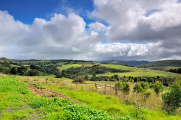 Obraz premium Australia Landscape : Great Ocean Road - Scenic Route countryside