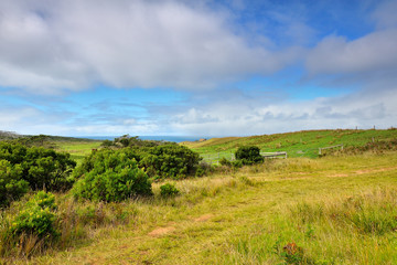 Australia Landscape : Great Ocean Road - Scenic Route countryside