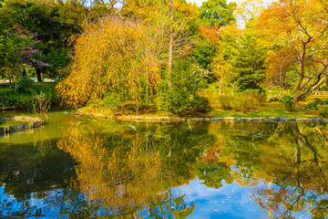 The pond and autumn leaves and trees in Arisugawa Park.The shooting location is Arisugawa Park in Minami Azabu, Minato-ku, Tokyo, Japan. 