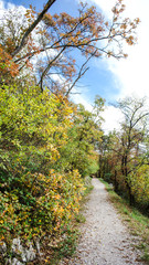 Naklejka premium karst natural background