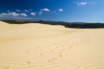 Footsteps on dunes