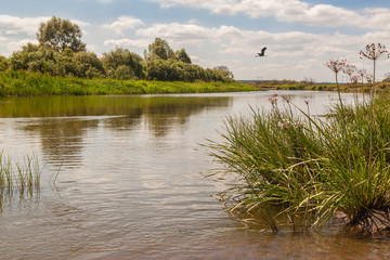 Summer day on the river Teterev, Polesie Ukraine