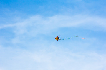 Kites in the sky blue