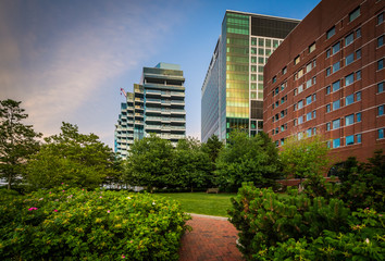 Obraz na płótnie Canvas Gardens and modern buildings in South Boston, Massachusetts.