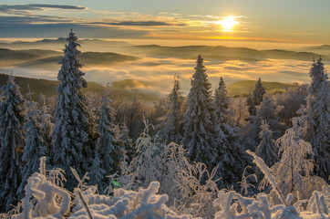 Wschód słońca z Jaworzyny Krynickiej  1114 m.n.p.m ,Beskid Sądecki ,małopolska.