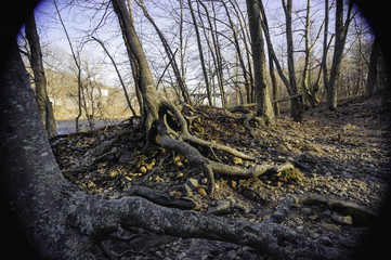 Vignette Blackstone RIver shoreline