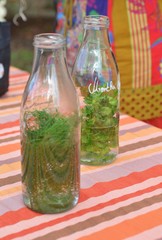 Natural herbal drink with dill and mint