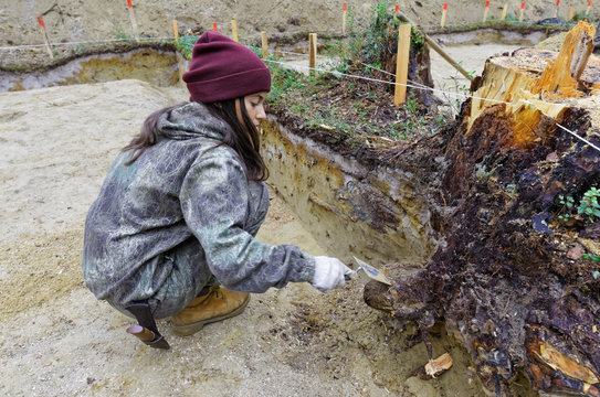 The girl-archaeologist clears the wall of the excavation