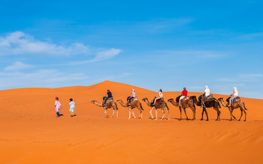 Karawane in den Dünen der Sahara bei Merzouga (Erg Chebbi); Marokko