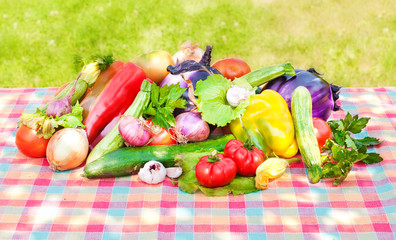 Fresh vegetables on table outdoors