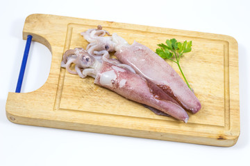 Fresh raw squids in white background / cuttlefish or squid ,fresh squid on Chopping wood / fresh squid's & cuttlefish on a cutting board in white background.