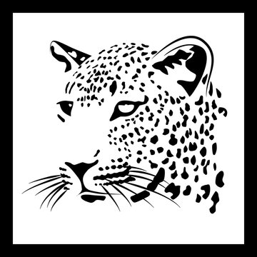 muzzle of a leopard