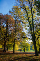A walk in a sunny day in Autumn inside Greenwich Park, London, United Kingdom
