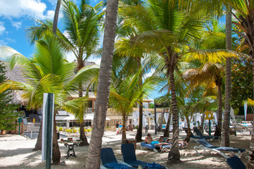 Fototapeta premium Caribbean beach
