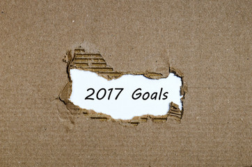 The word 2017 goals appearing behind torn paper