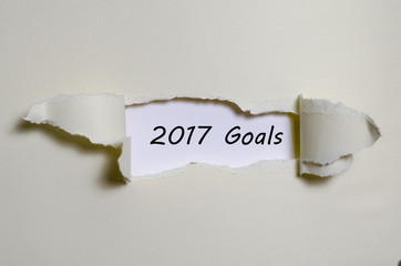 The word 2017 goals appearing behind torn paper