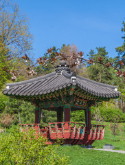 Fototapeta na wymiar Korean traditional garden and pagoda in a public garden in Kiev