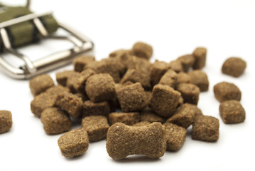 ошейник, © kivladimir