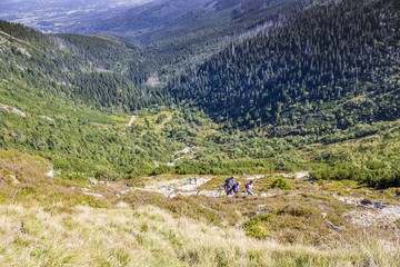 Mountain trail in Karkonosze