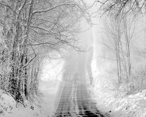 passage through the snowy winter park