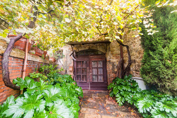 pergola in a rustic corner in Tuscany