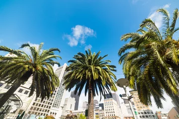 Foto auf Acrylglas Palm trees in San Francisco Union Square © Gabriele Maltinti