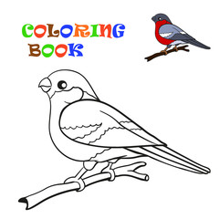 Coloring book, bird bullfinch