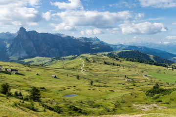 Fototapeta premium Almwiesen-Panorama