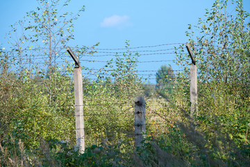 Barbed wire