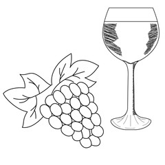 Bunch of grapes and wineglass. Hand drawn illustration in sketch style.
