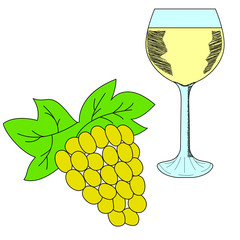 Bunch of grapes and wineglass. Hand drawn illustration in sketch style.