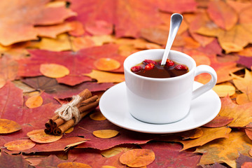Tea with a dogrose and cinnamon